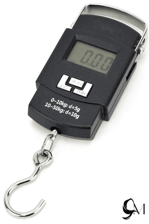 portable electronic scale