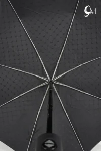 Foldable Umbrella